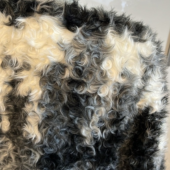 HOST PICK 🖤 ZARA Curly Lamb Faux Fur Coat Lined,  Size M - Picture 3 of 13